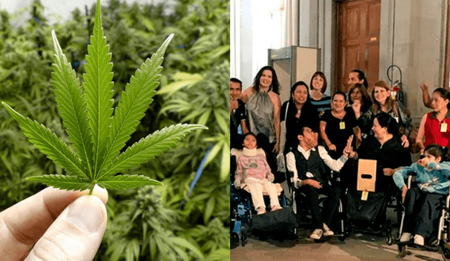 México: primer amparo para uso medicinal de marihuana medicinal