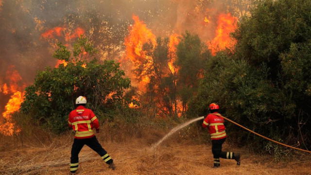 Incendio forestal arrasa con 300 hectáreas en Tumbes