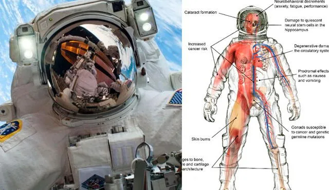 Los astronautas reciben tanta radiación como los liquidadores de desastres nucleares. Imágenes: NASA/Semantic Scholar