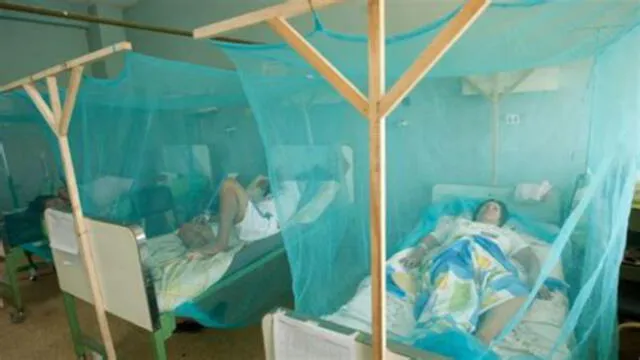  Confirman 110 casos de dengue en región Piura