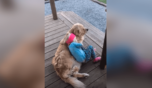 Desliza las imágenes para observar la sentimental escena protagonizada por una niña junto a su perro.