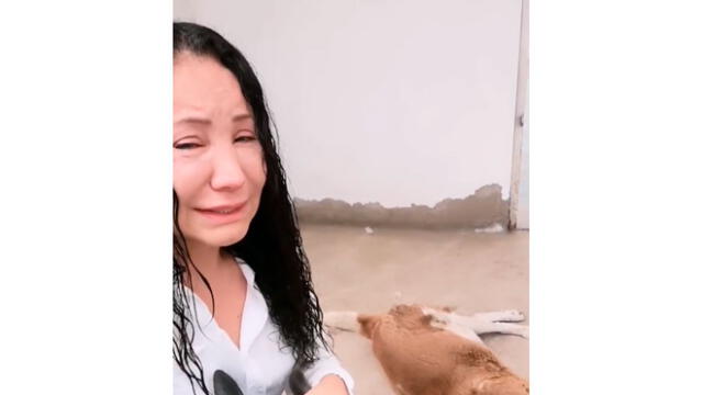 Janet Barboza llora por la muerte de su perro  Foto: Instagram