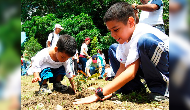 Día Mundial del Medio Ambiente: ¿Cómo concientizar a los niños sobre la importancia de esta fecha?