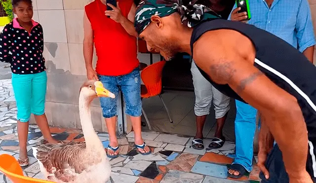 Vía Facebook: venezolano juega con su ganso en la calle y transeúntes reaccionan así [VIDEO]