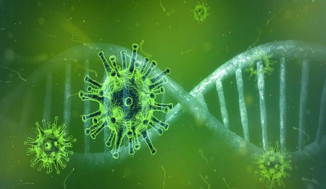 El nuevo coronavirus aún es un enigma para varios expertos. Foto: Pixabay