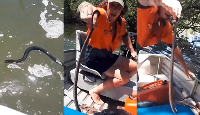 YouTube viral: vio a una serpiente venenosa a punto de morir y arriesgó su vida para rescatarla [VIDEO]