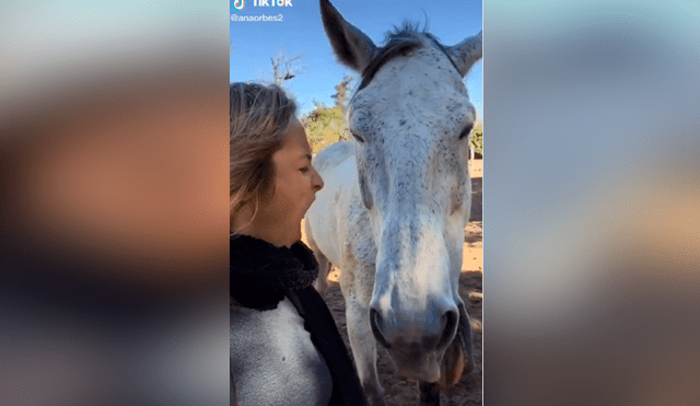 Tiktok viral: intenta tomarse ‘selfie’ con caballo y este tiene efusiva reacción que arruina fotografía