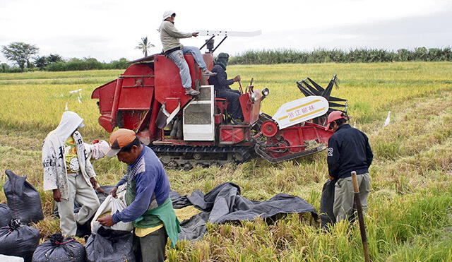 Más de 6 mil agricultores aún no reciben bonos del Minagri