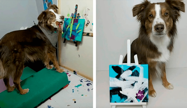 Desliza las imágenes hacia la izquierda para observar las increíbles habilidades de un perro en el arte. Foto: Caters Clips.