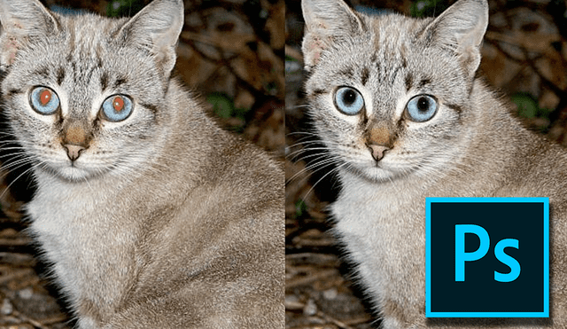 Photoshop: Aprende a eliminar los ojos rojos en una foto