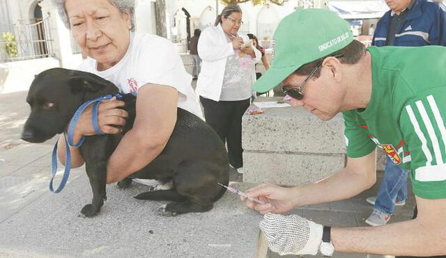 Para prevenir contagio de rabia en humanos, vacunan a más de 11 mil canes en la frontera Perú-Bolivia