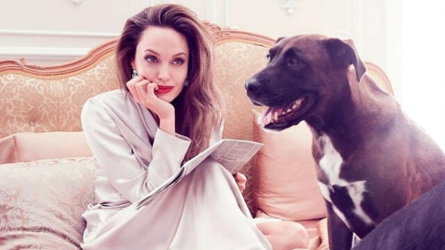 Angelina Jolie: Filtran imagen sin photoshop y maquillaje