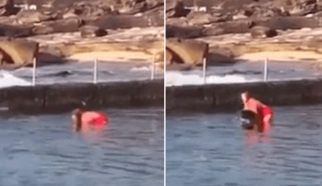 YouTube: Valiente mujer cargó un tiburón en el mar para salvar a su madre [VIDEO]