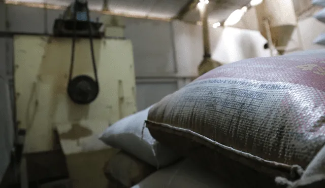 Colombia acogerá más de 800 toneladas de arroz peruano