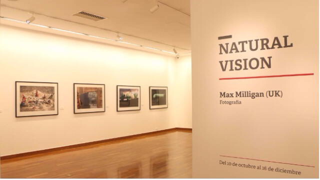 Británico presenta "Visión Natural" de Max Milligan