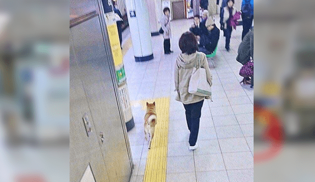 En Facebook, un perro fue capturado por la policía para evitar que cometa travesuras dentro de una estación de tren.