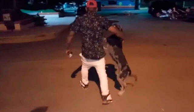 Desliza las imágenes para conocer la inesperada acción de un perro para ‘convencer’ que dejen libre a su dueño. Foto: Captura de YouTube