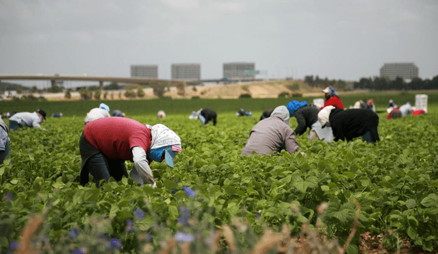 En EE.UU. redadas contra inmigrantes generan grandes pérdidas en industria 