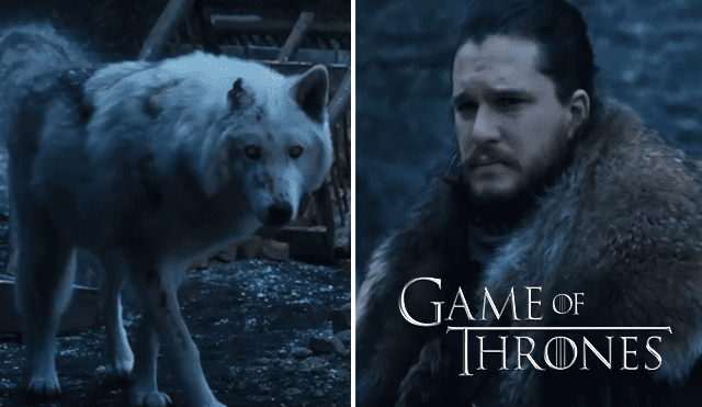 Game of Thrones: ¿Lo abandonó? El desgarrador adiós de Jon a Ghost [VIDEO]