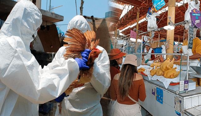 Conoce si el brote de gripe aviar afectará la venta de aves en mercados. Foto: Urpi