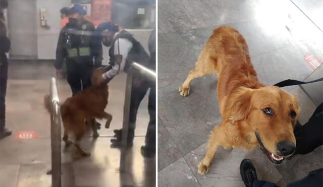 El can permaneció al lado de los agentes de seguridad y mostró toda su emoción al reencontrarse con su dueño. (Foto: captura de Twitter)