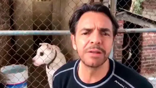 Eugenio Derbez termina con cara desfigurada por defender a perro 