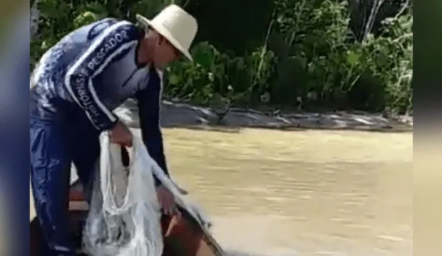 Poblador queda impactado al ver que cientos de criaturas emergen del agua.