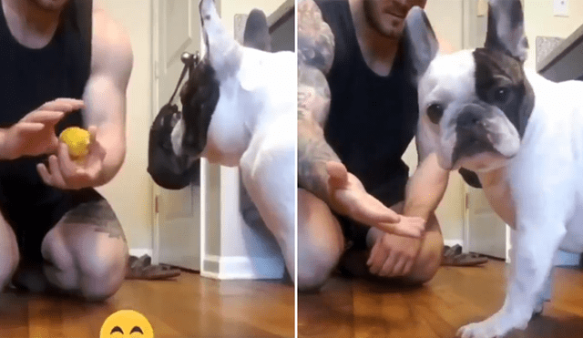 A través de Facebook se hizo viral la curiosa reacción de un can al ser víctima de un truco de magia de su dueño.