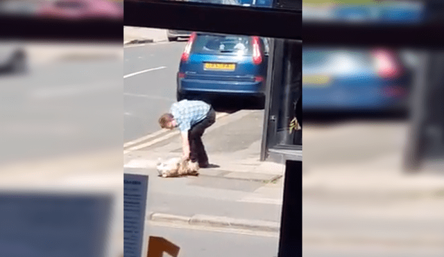 En Facebook, un joven captó el preciso instante que un perro hizo una rabieta a su dueño en la calle, pero no logró su objetivo.