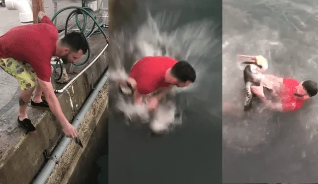 Facebook viral: imprudente turista salta encima de pelícano y usuarios terminan indignados [VIDEO]