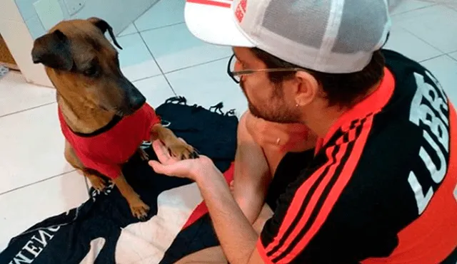 Copa Libertadores: hincha vende su entrada del Flamengo vs. Gremio para recaudar fondos y poder tratar a su perro.