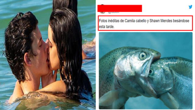 Hilarantes memes tras los apasionados besos de Camila Cabello y Shawn Mendes