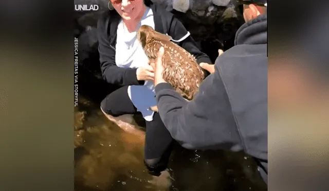 Un video viral de Facebook registró el conmovedor instante en que una familia rescató a una pequeña criatura que estaba a punto morir ahogada en una laguna.