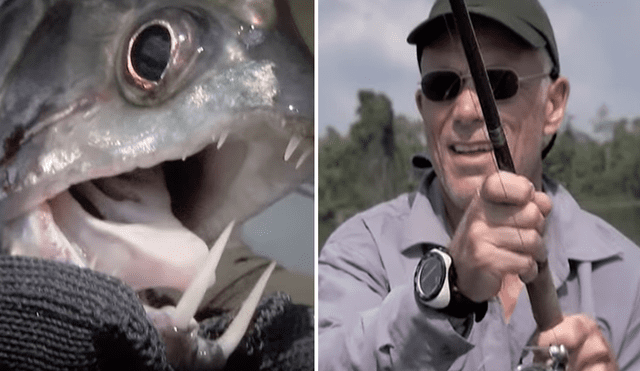 YouTube viral: 'extraño animal' emerge del río, aventureros la atrapan y muestran su aterrador aspecto [VIDEO]