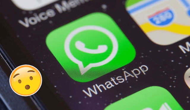 WhatsApp: borró aplicación por un año y le ocurrieron 7 cosas increíbles