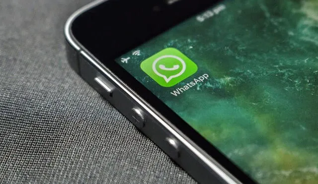 WhatsApp lanzó nueva función anunciando los nuevos términos de servicio de la app. Foto: WABetaInfo