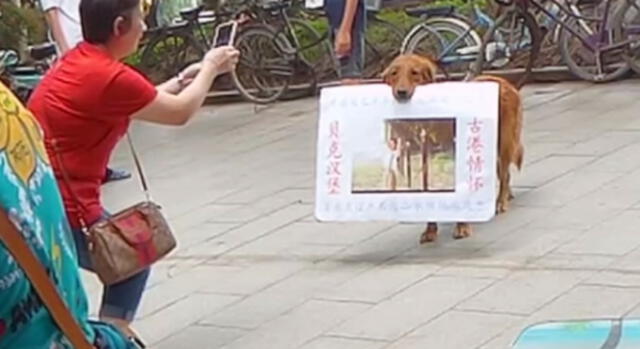 YouTube: asombro por perro que 'promociona' negocio de su dueño [VIDEO]