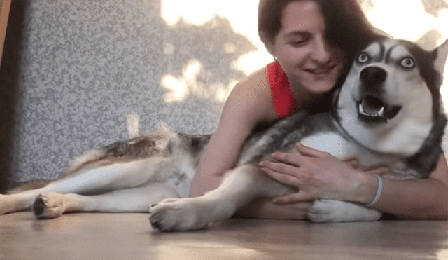 A través de Facebook se volvió viral la hilarante reacción de un perro al ser abrazado por su dueña.