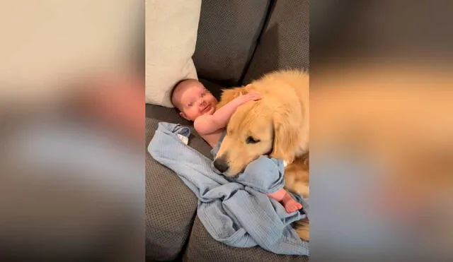 Desliza las imágenes para ver la emotiva escena que protagonizó este bebé al lado de la mascota de su mamá. captura de YouTube/ViralHog