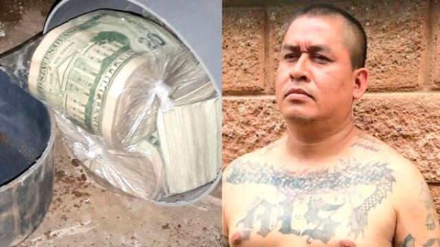 Cayó el líder de MS-13 y hallaron fajos de dólares en el desagüe de su casa. Fotos: Univisión.