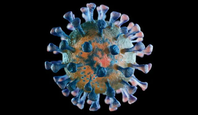 Análisis genómico sugiere que el nuevo coronavirus surgió de la recombinación de dos virus. Imagen referencial: EPR.
