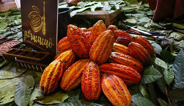 VIII Salón del cacao y chocolate en Lima [FOTOS]