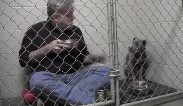Facebook: veterinario se encerró con perro maltratado por noble razón | VIDEO