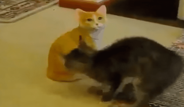 En YouTube, un joven compró un adorno en forma de gato para su casa y su mascota lo agarró para jugar.