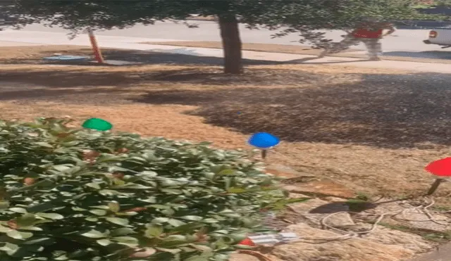 Niño pide lupa como regalo de Navidad y termina incendiado el jardín de su casa [VIDEO] 