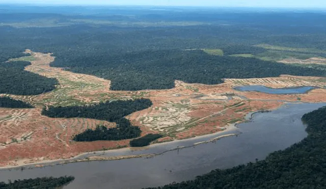 Amazonía (Foto: Risco Rodríguez)