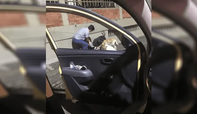 Taxista emociona en Facebook: "¿Puedo parar un segundo? Compré comida para esos perritos"
