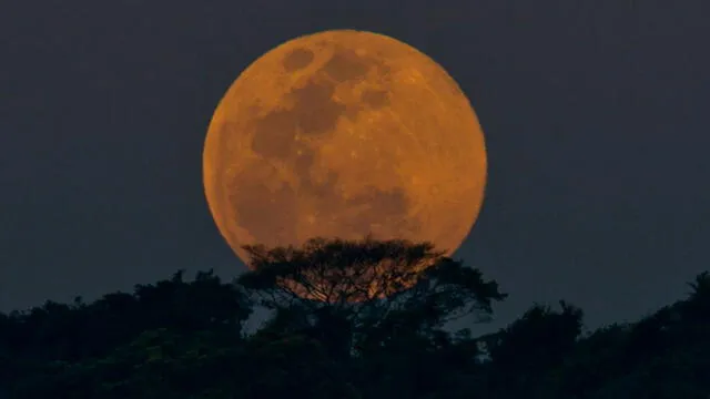Superluna 2019: cuándo verla y por qué la nombraron 'luna llena de gusano'