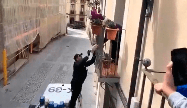 Anciana fue sorprendida por miembros de la Guardia Civil de España. Foto: La Vanguardia