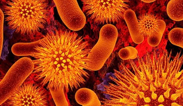 La fascitis necrotizante puede ser causada por diferentes tipos de bacterias, como Strep o Vibrio vulnificus del Grupo A. Foto: Difusión